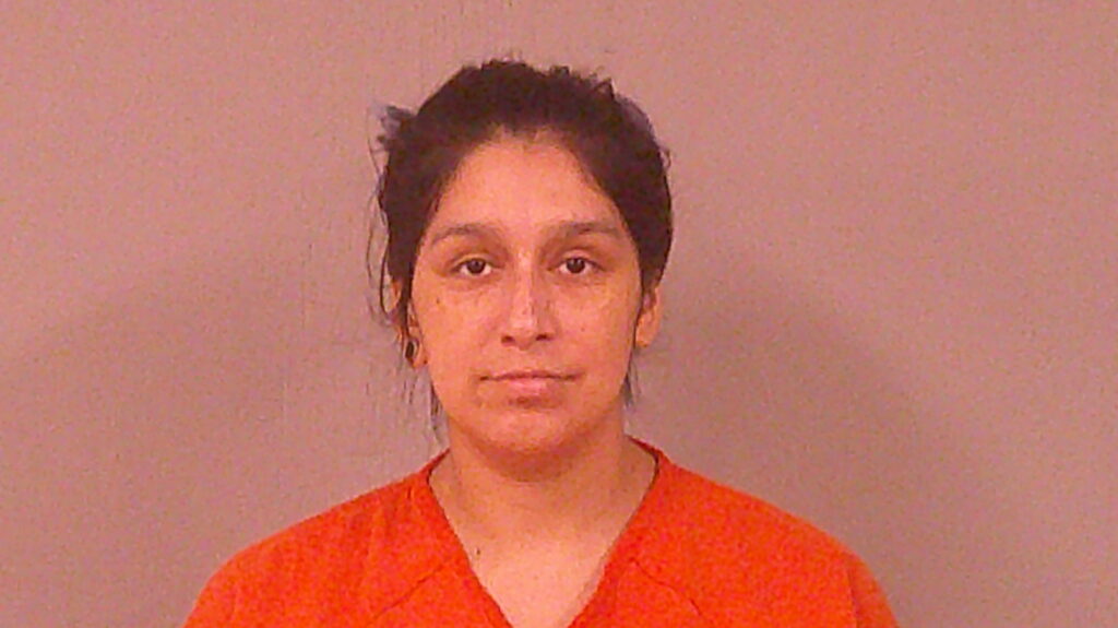 SANCHEZ, ERYKA MARIE booking photo