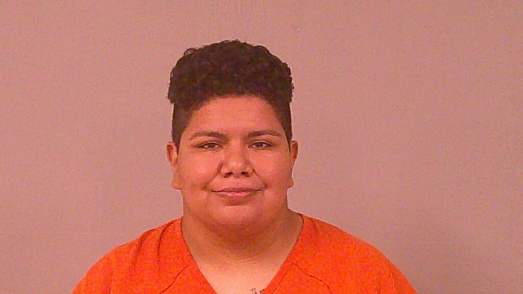 GUERRERO, PRISCILLA MARIE booking photo