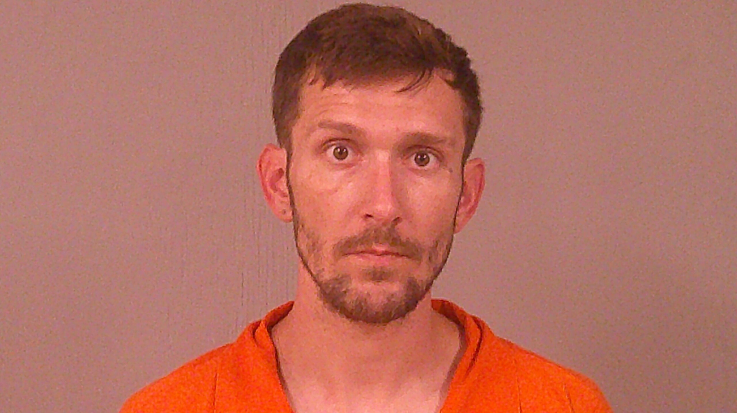 WILLS, KYLEY DENTON booking photo