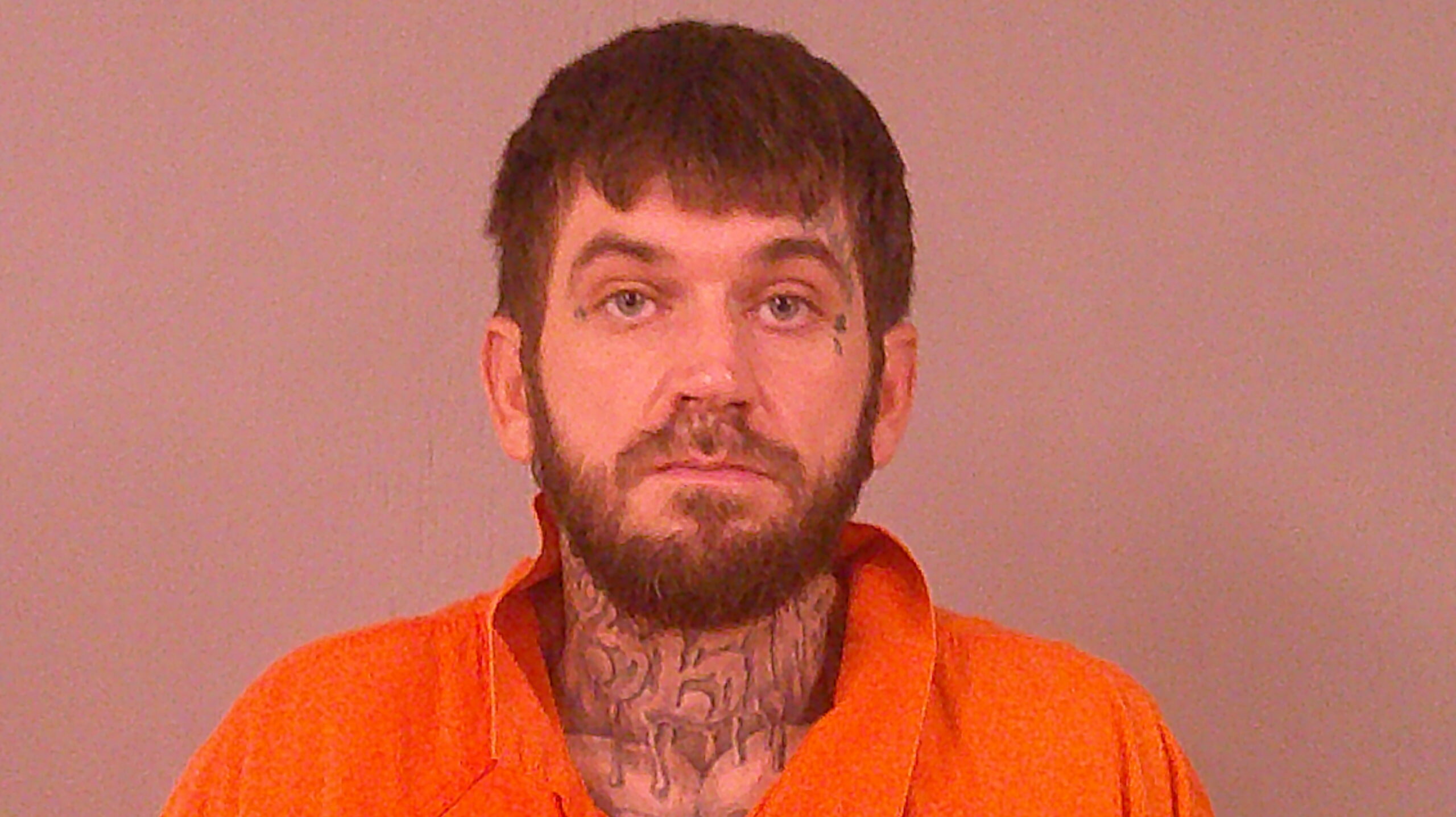 BROWN, TIMOTHY WILLIAM booking photo