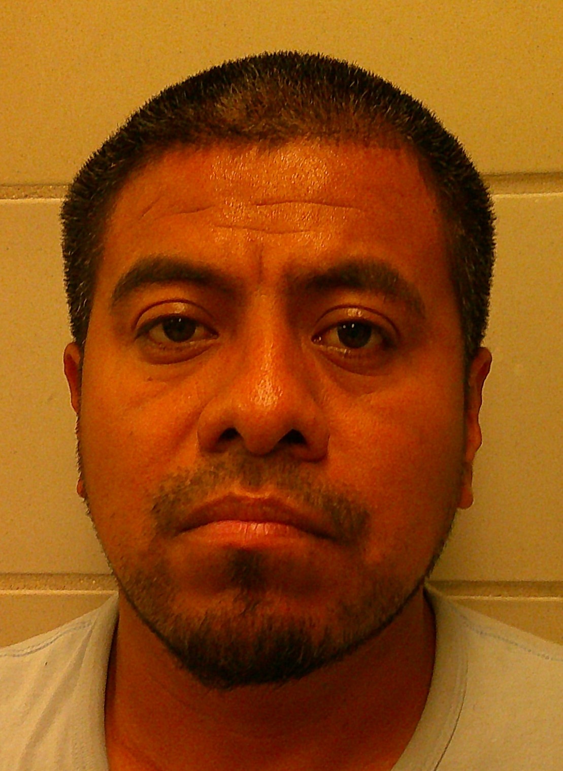 ROJO-CONTRERAS, JOSE ISABEL booking photo