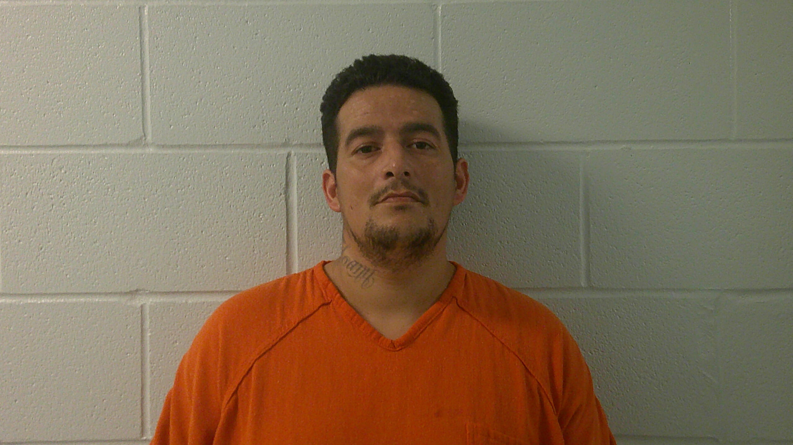 RAMOS, SERGIO booking photo