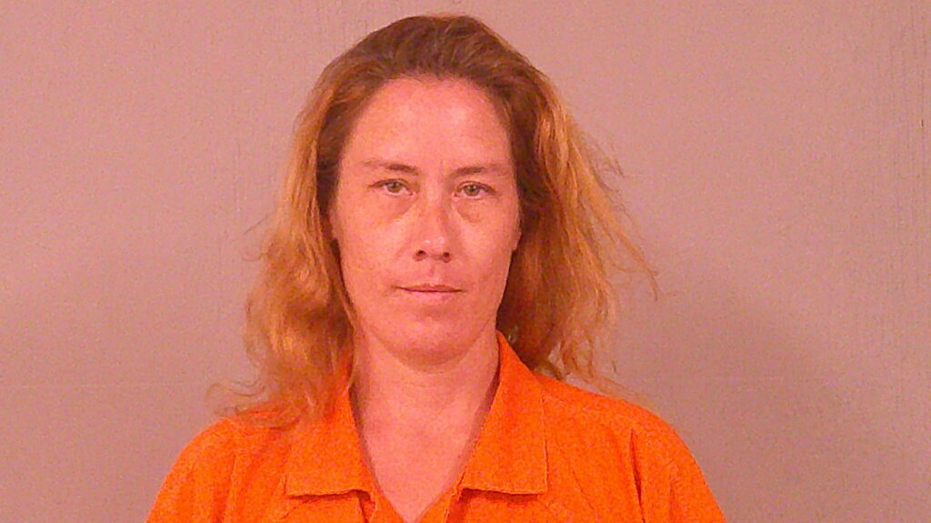 SOBTZAK, MARY LYNNE arrested in Burnet County, Texas mugshot