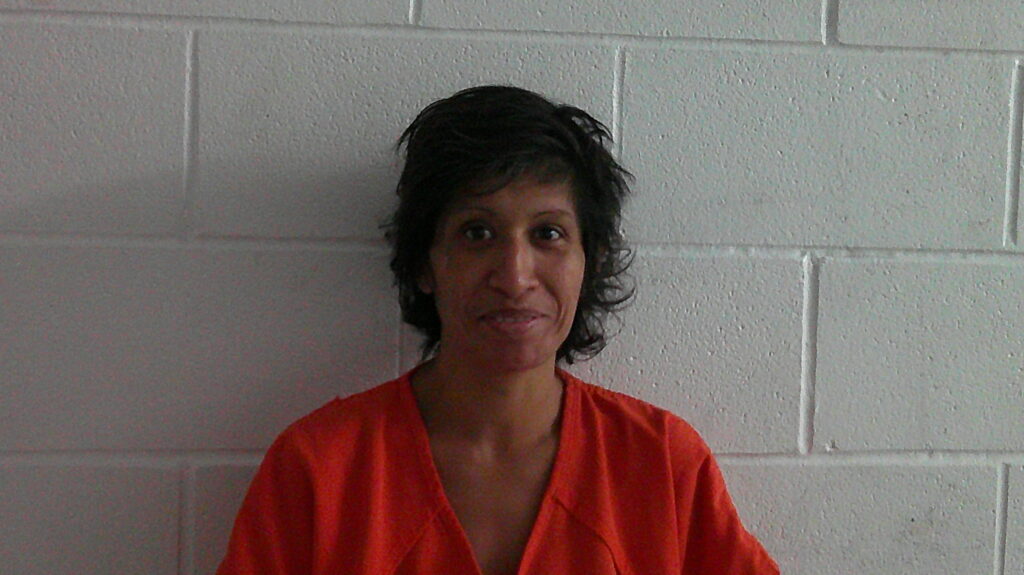 TREVINO, CYNTHIA GARZA arrested in Burnet County, Texas mugshot