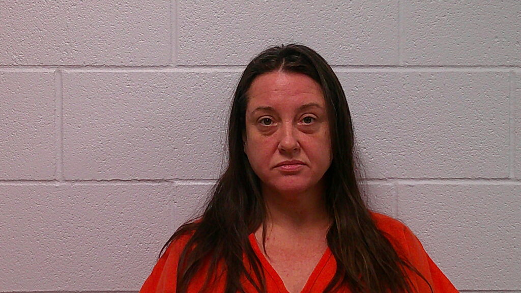 SERLES, LACY RENEE arrested in Burnet County, Texas mugshot