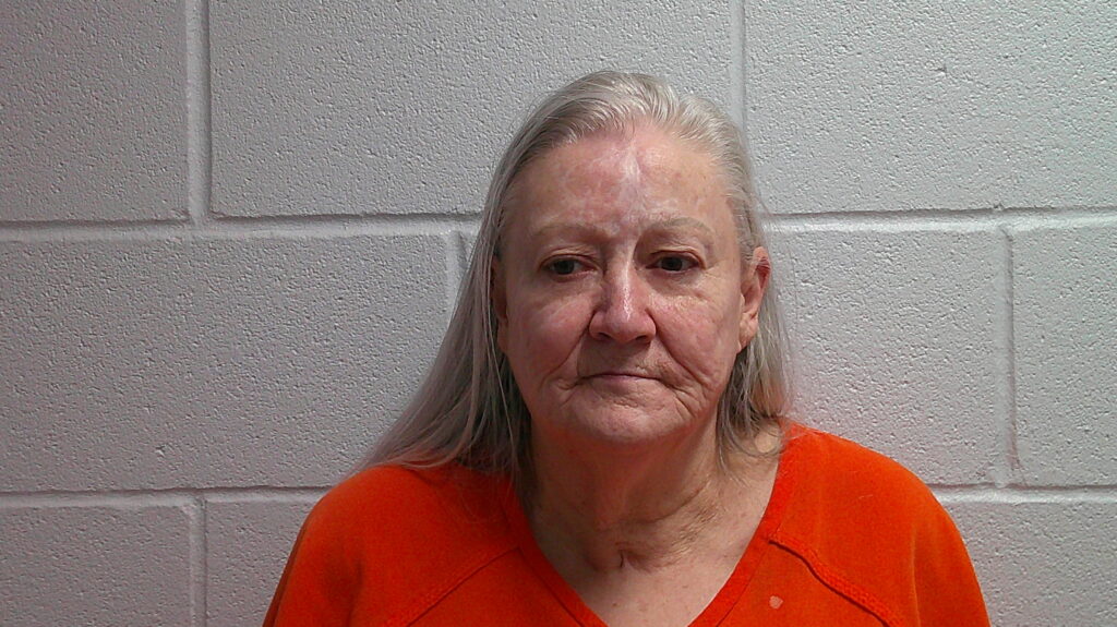 LAYTON, EDA JANE arrested in Burnet County, Texas mugshot