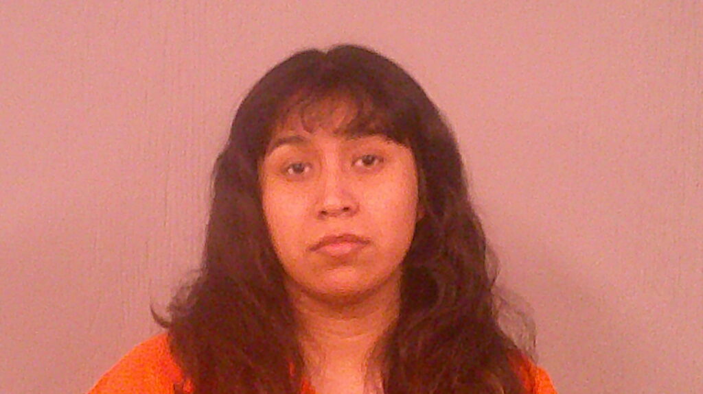 PATINO, ABIGAIL K arrested in Burnet County, Texas mugshot