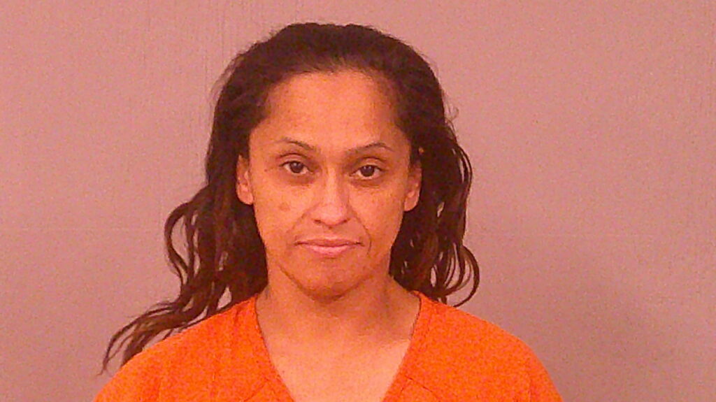 ARZOLA, ELEANOR arrested in Burnet County, Texas mugshot