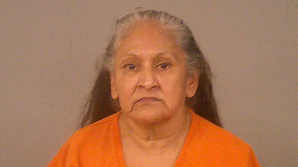 VARGAS, MARY HELEN arrested in Burnet County, Texas mugshot
