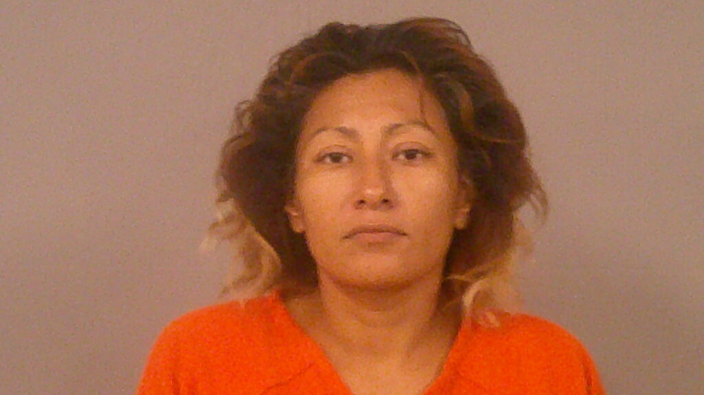 RAMOS, ANNA ROSA arrested in Burnet County, Texas mugshot
