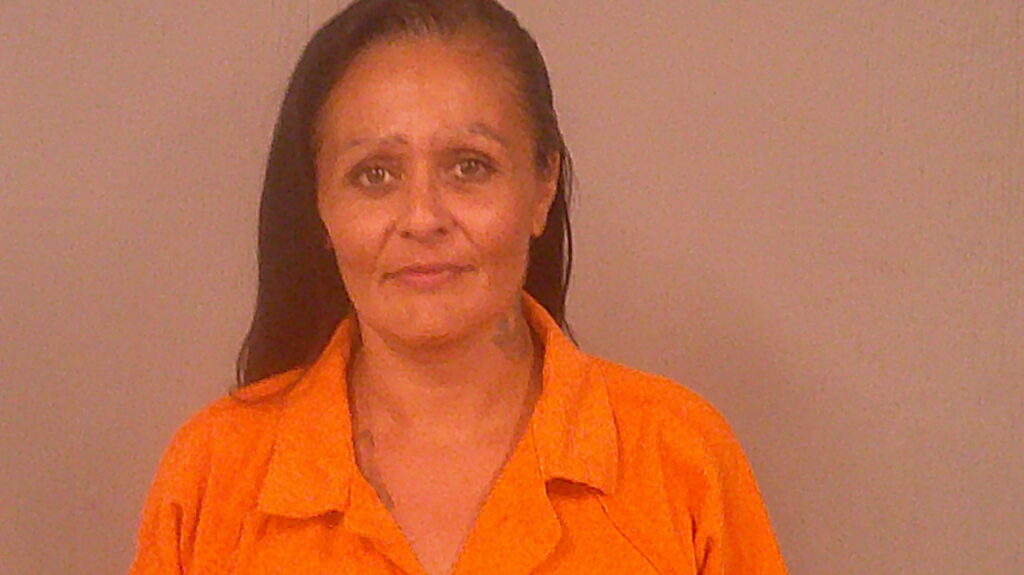 CARRASCO, FELECIA arrested in Burnet County, Texas mugshot