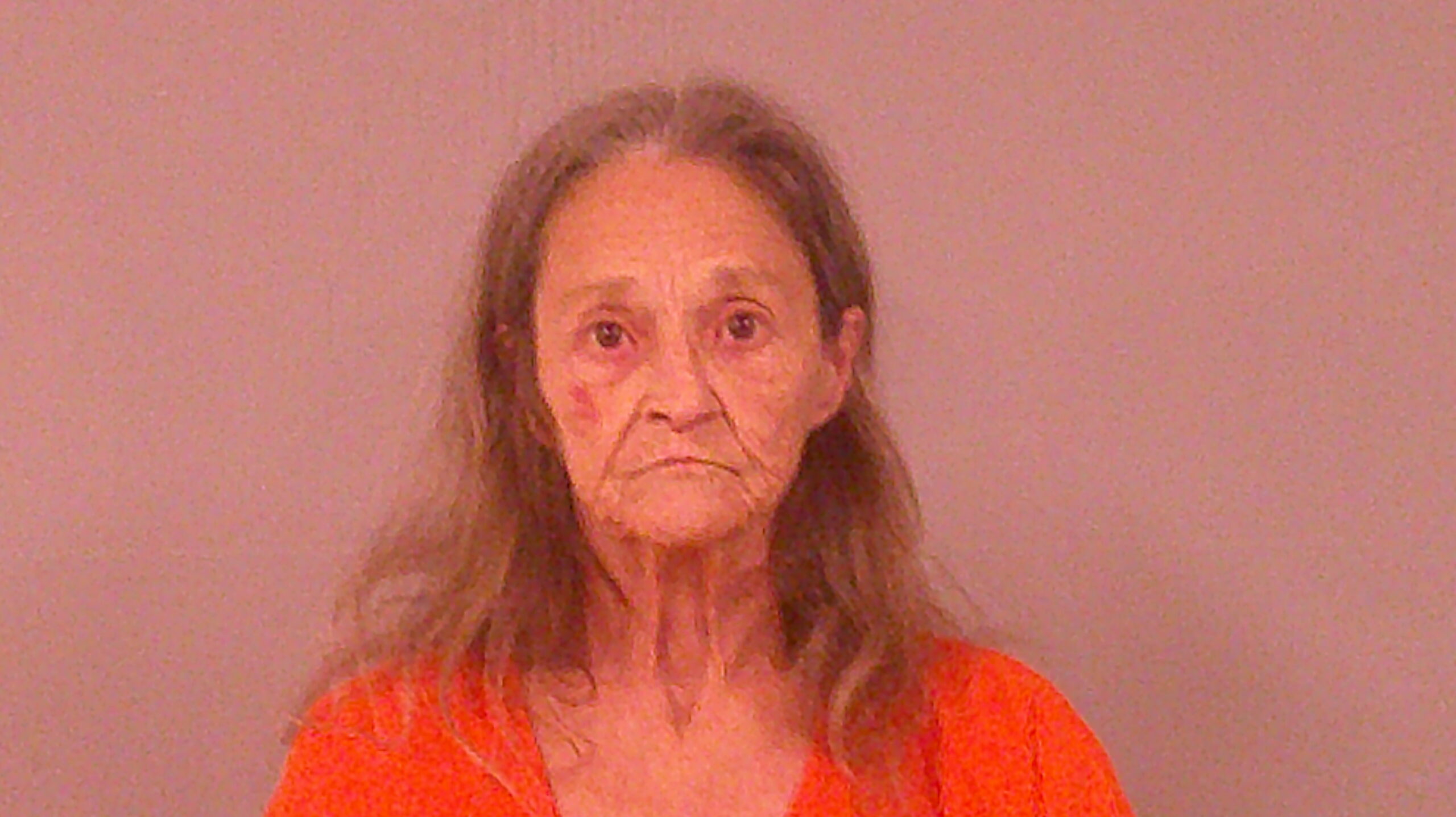 TURNER, MICKEY KAY booking photo