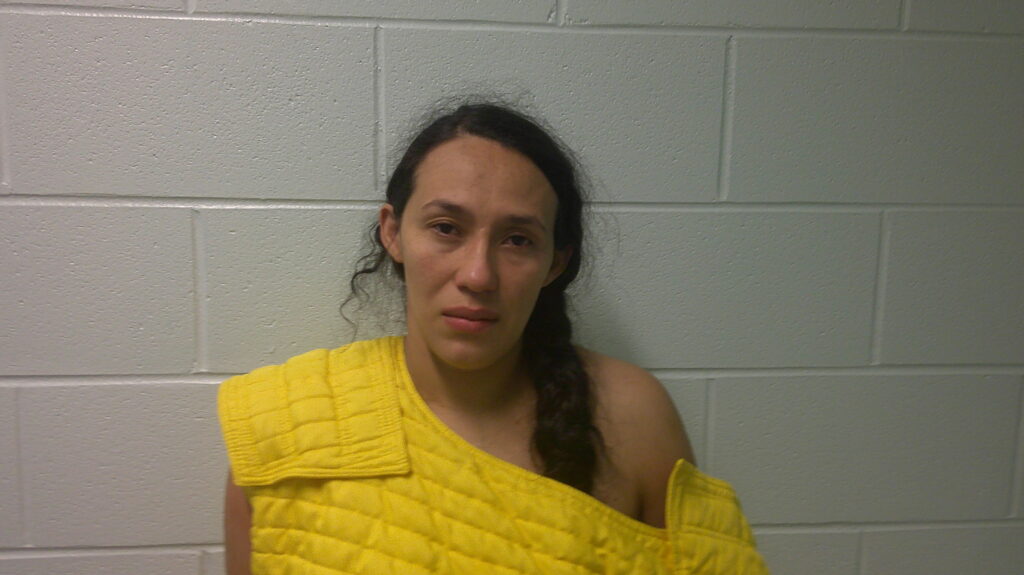 ULLOI, YESENIA arrested in Burnet County, Texas mugshot