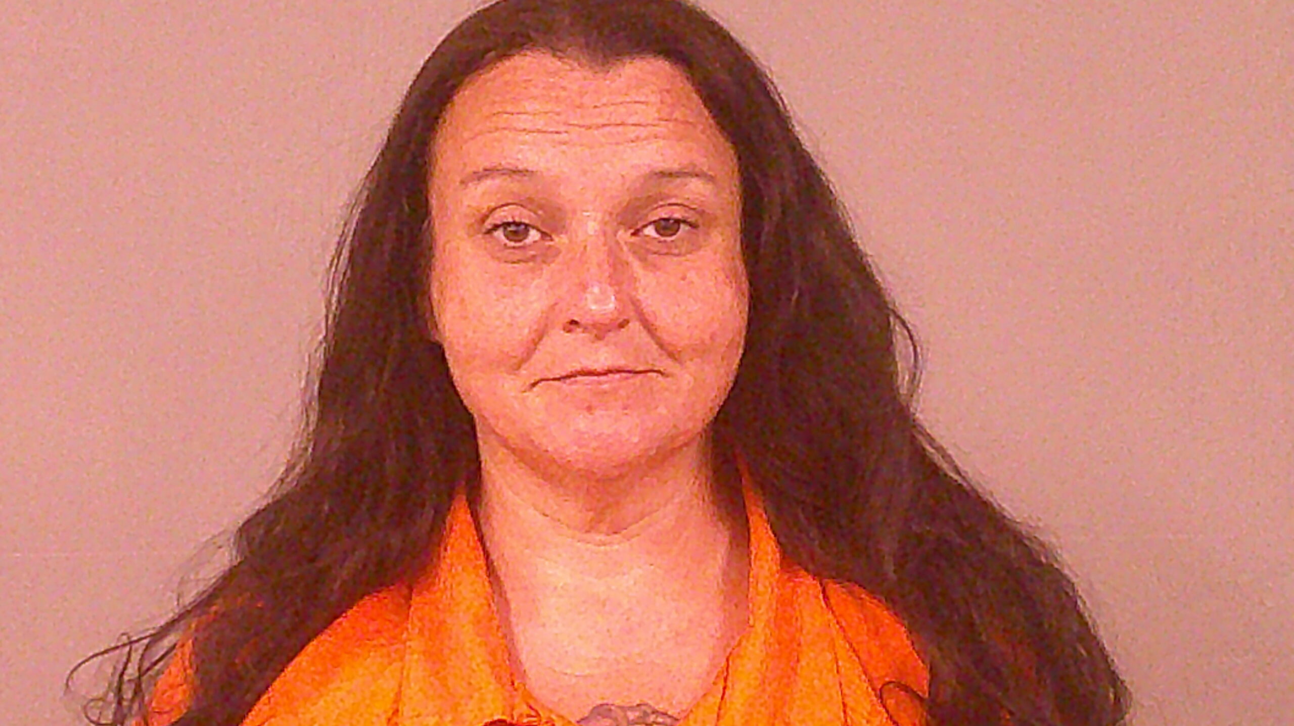 HIGGINS, BRANDI LEIGH booking photo