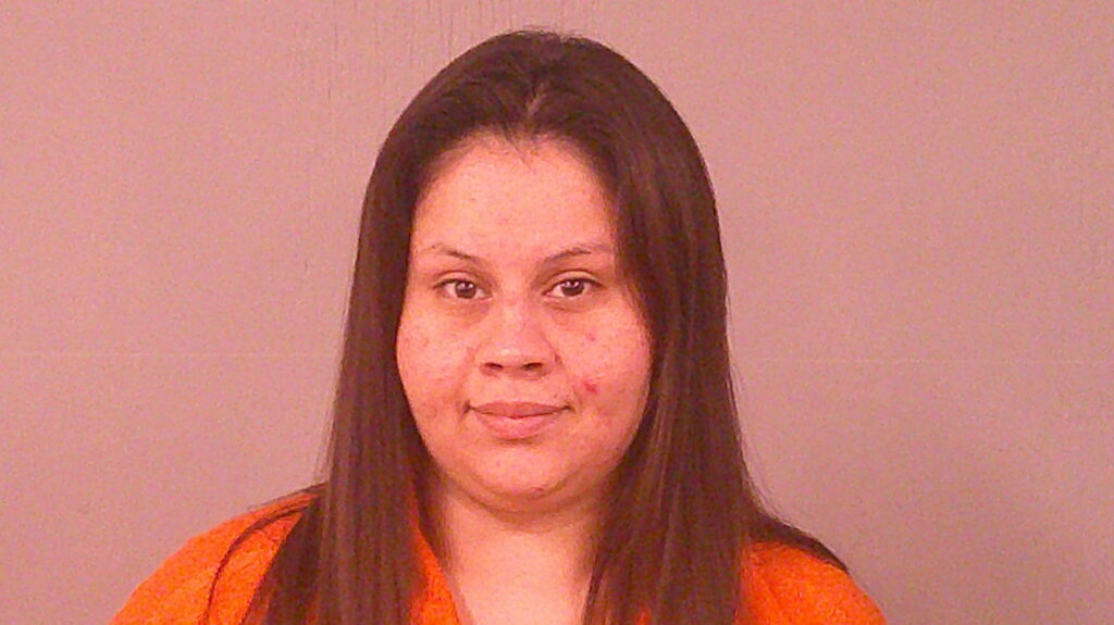 GOMEZ, IRIS N arrested in Burnet County, Texas mugshot