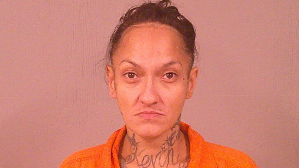 MARTINEZ, MONICA arrested in Burnet County, Texas mugshot