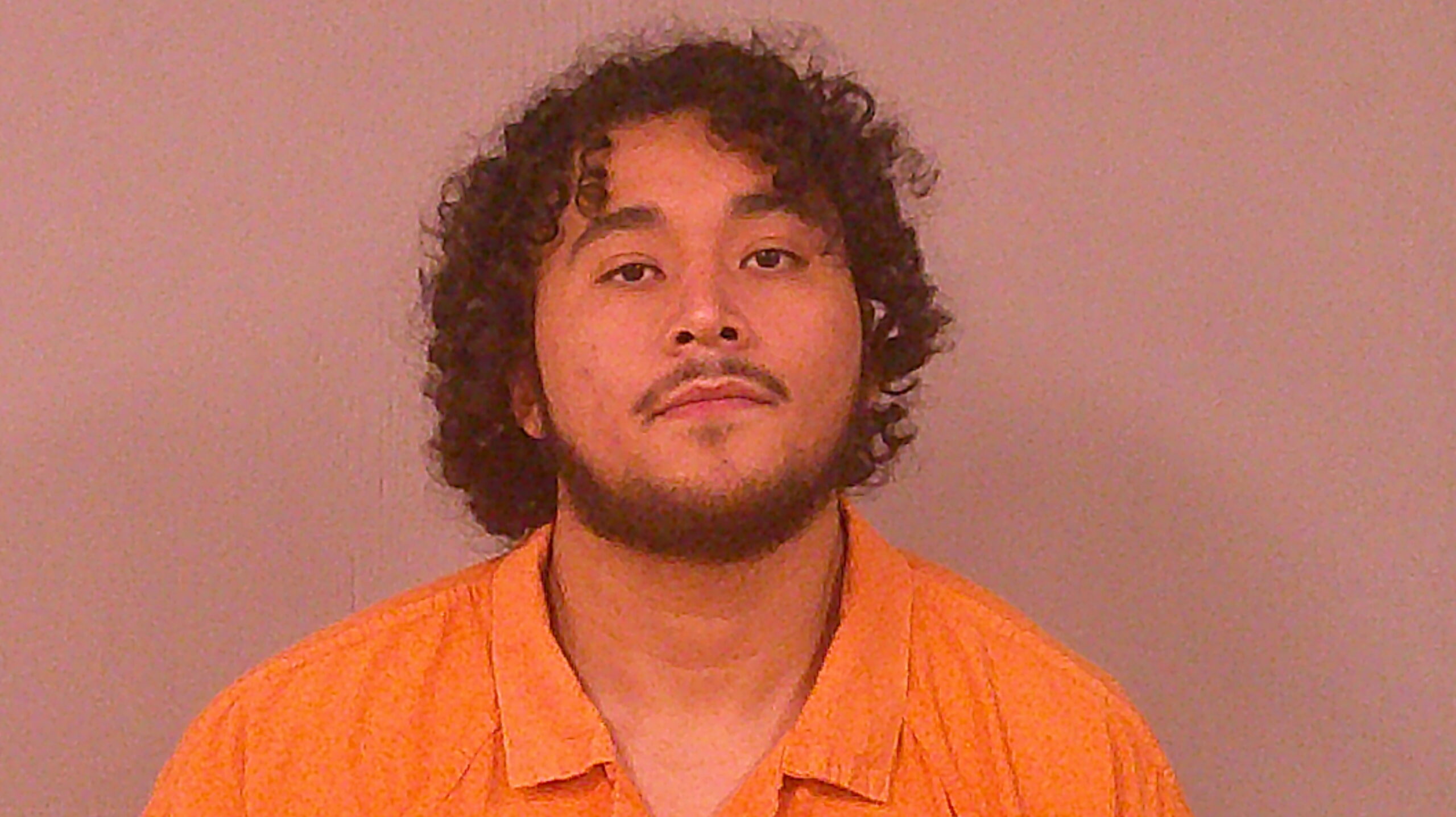 TICAS-PORTILLO, CARLOS ADONAY arrested by Liberty County Sheriff’s Office