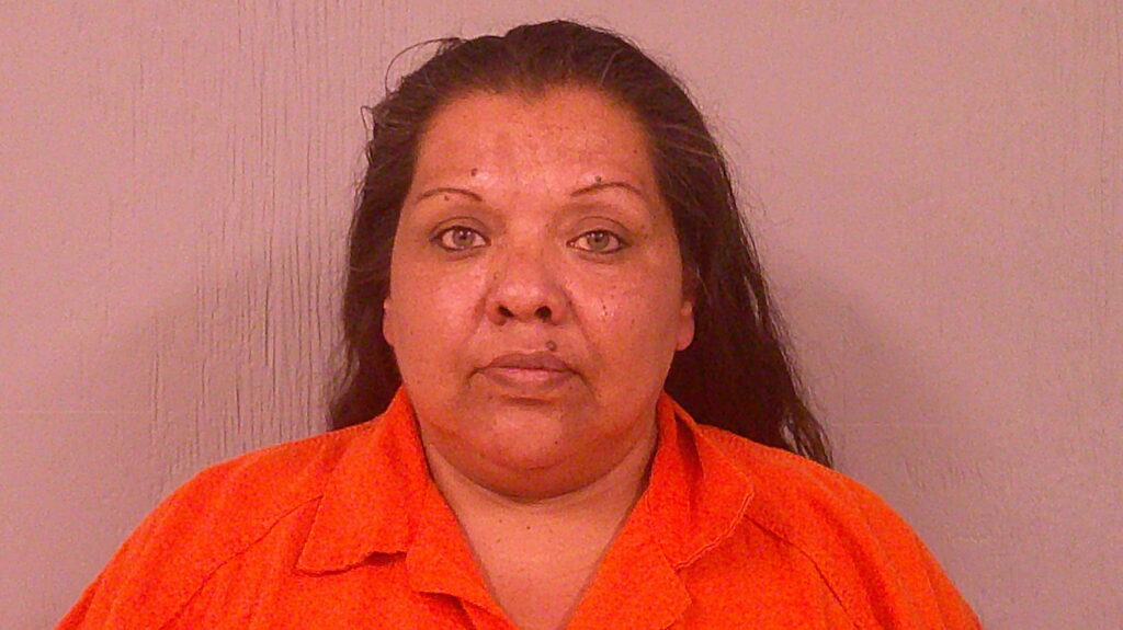 HERNANDEZ, NINA CALDELARIA arrested in Burnet County, Texas mugshot