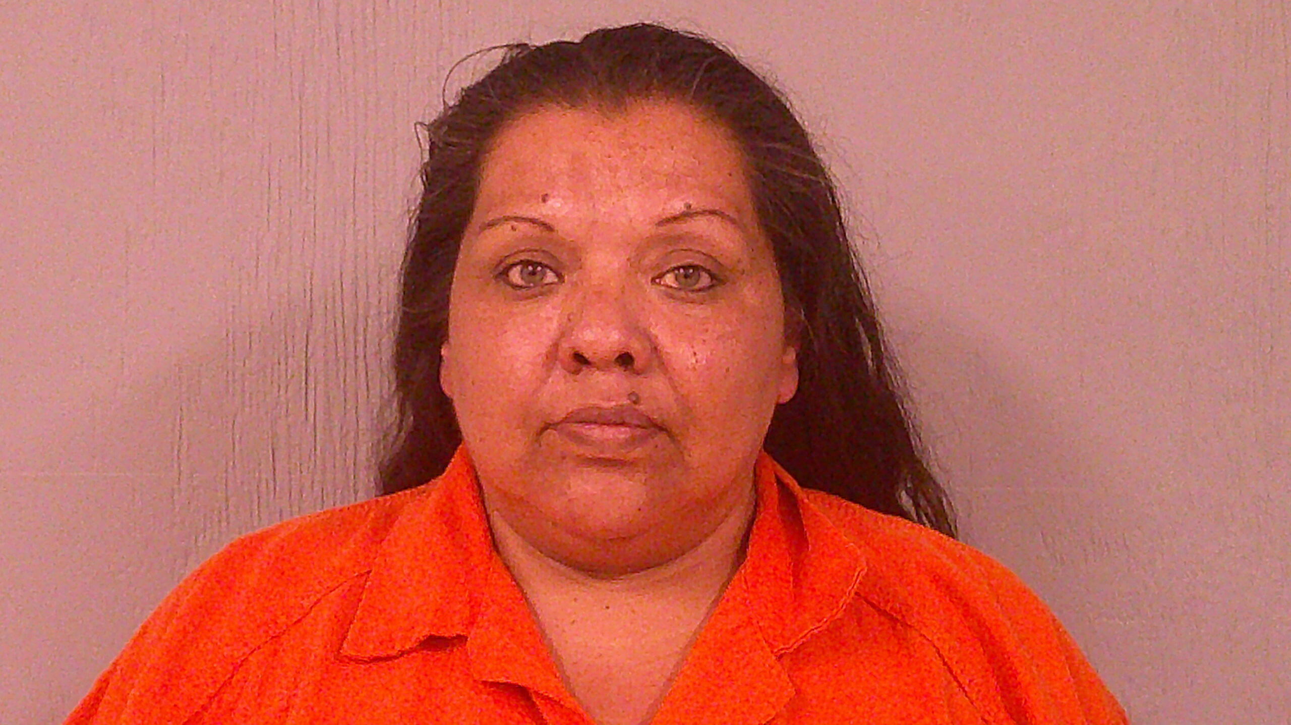 HERNANDEZ, NINA CALDELARIA arrested by Burnet County Sheriff’s Office