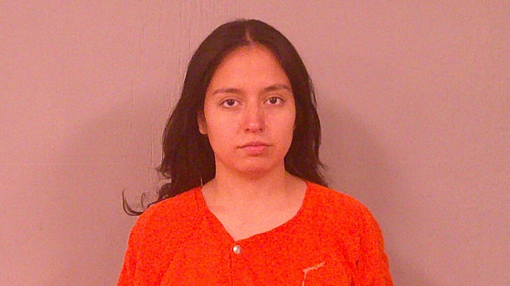 GARCIA VENCES, ELIDE JOHALL arrested in Burnet County, Texas mugshot
