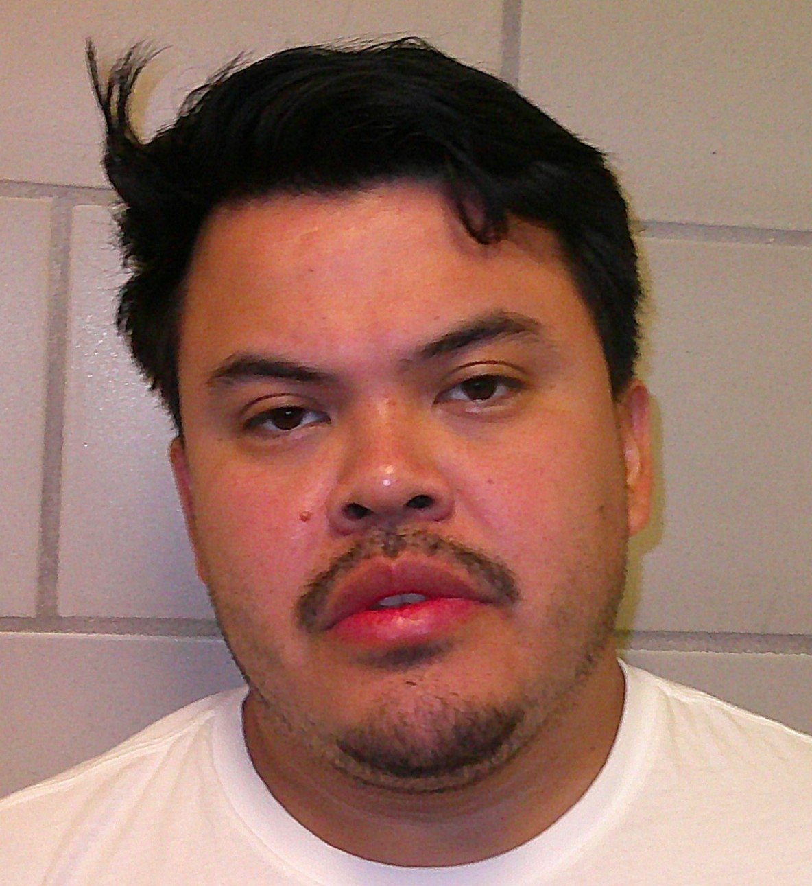 DIAZ-LARA, DARWIN booking photo