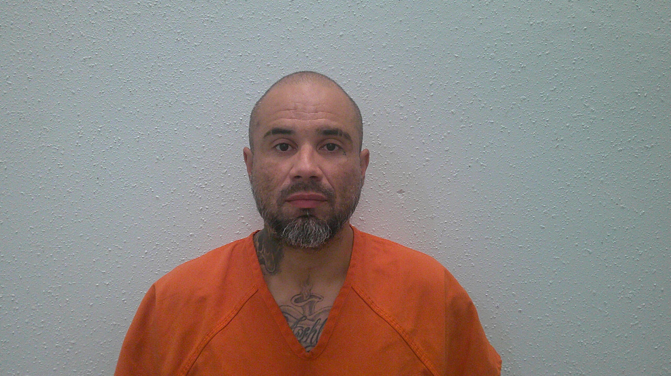 WATSON, MARK booking photo