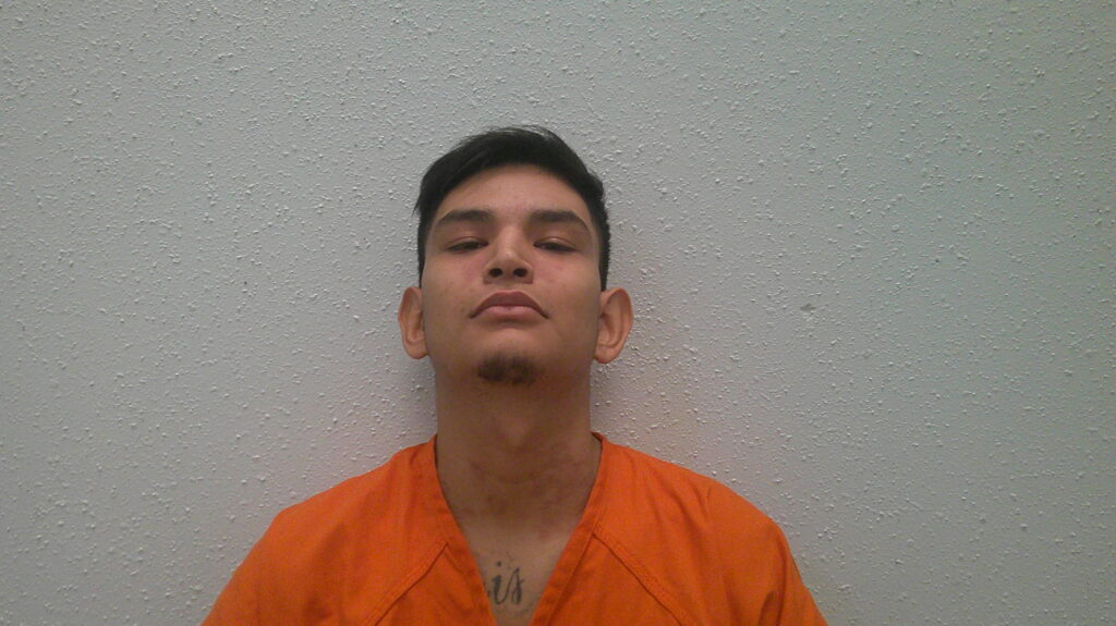 MARTINEZ, LUIS ENRIQUE booking photo