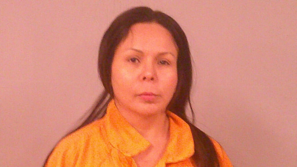 JENKINS, ANABELLA FIGUEROA booking photo