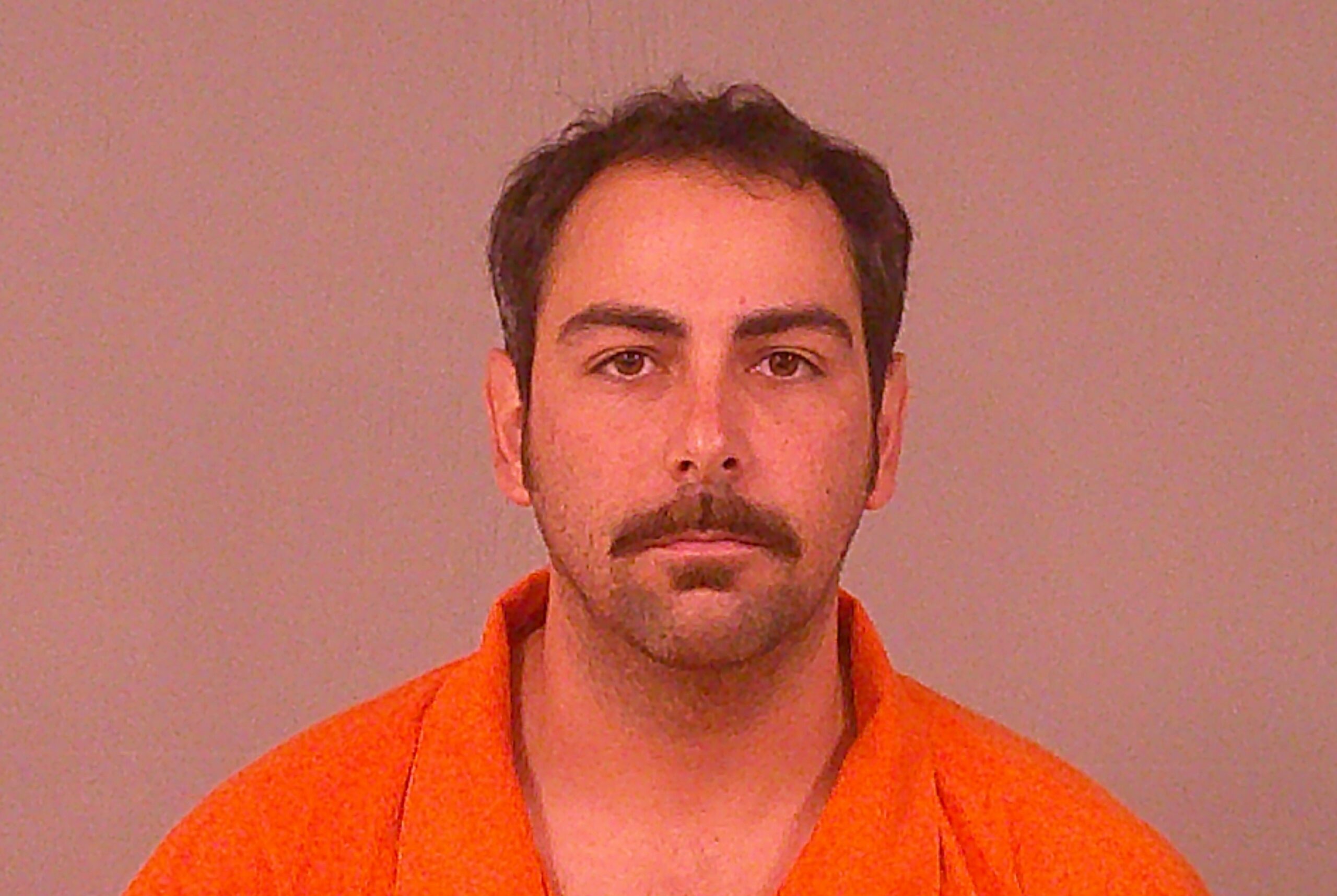 HANSON, TRISTAN ARON booking photo