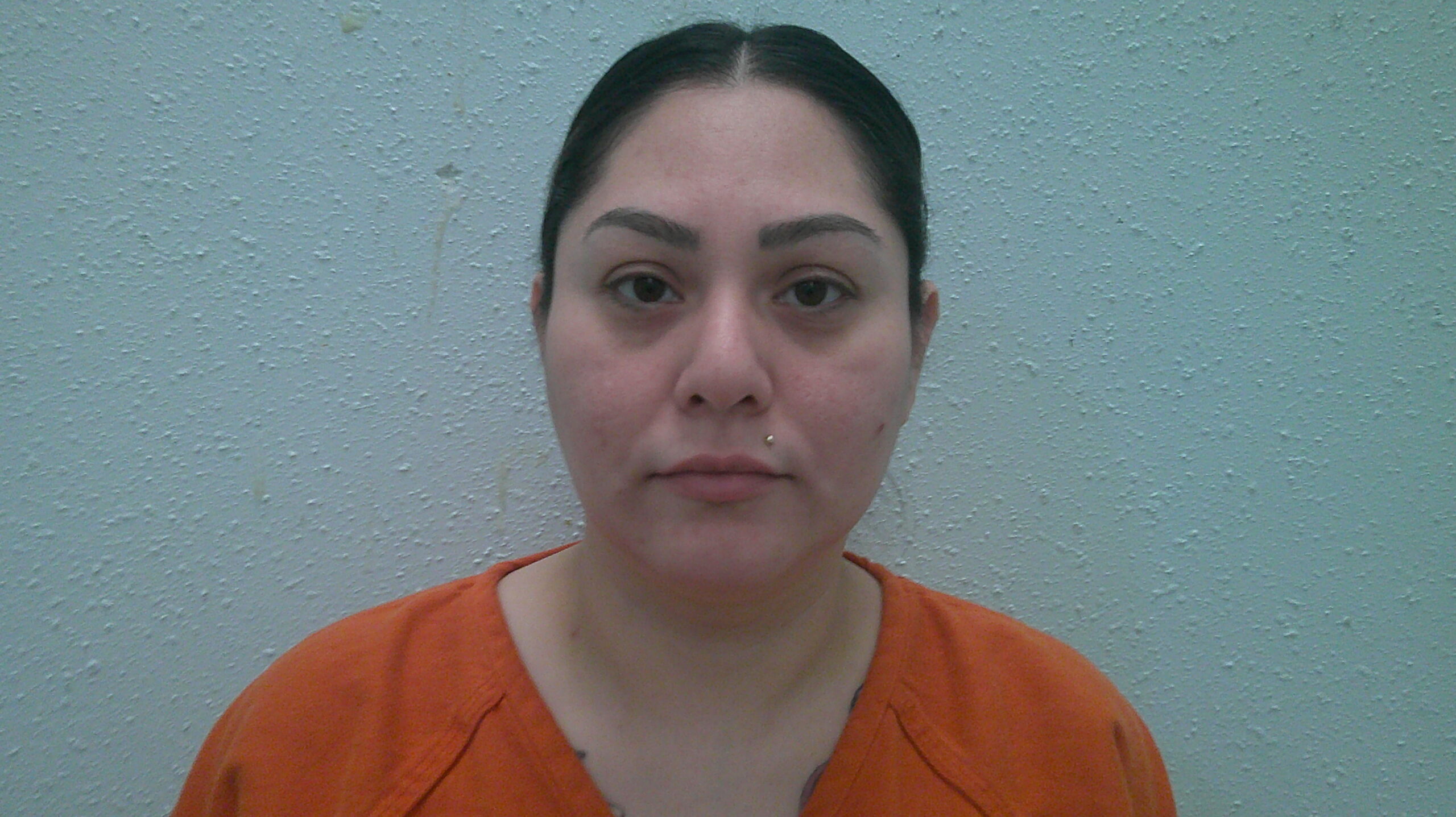 LOPEZ, SUSANA HERNANDEZ booking photo