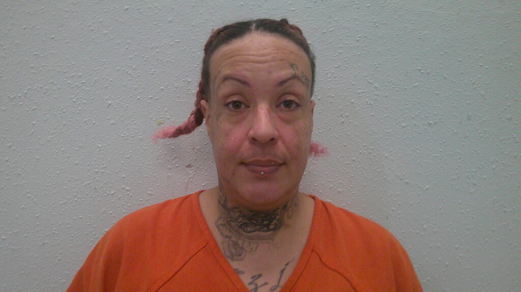 FINDLAY, ANDREA booking photo