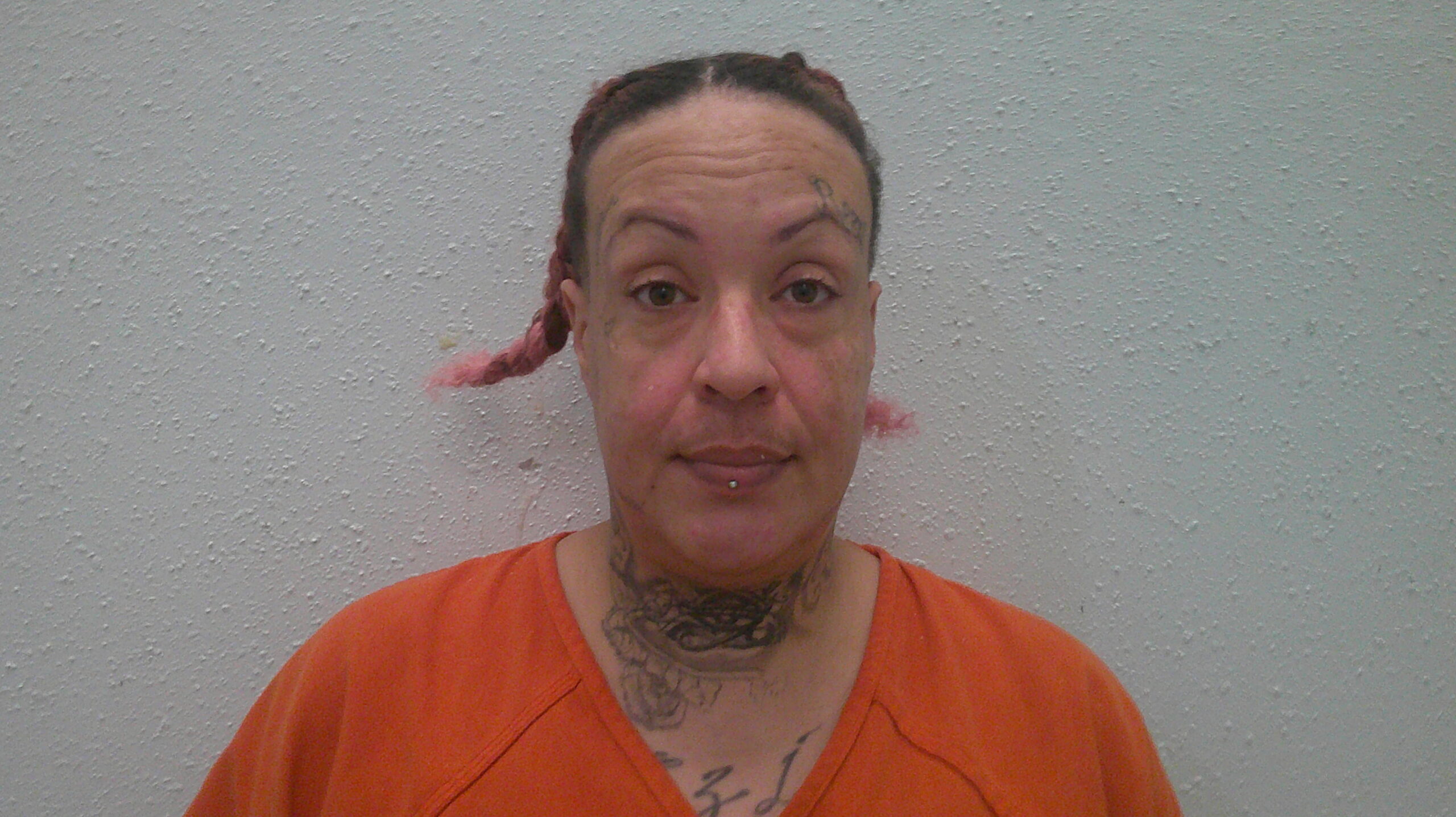 FINDLAY, ANDREA booking photo