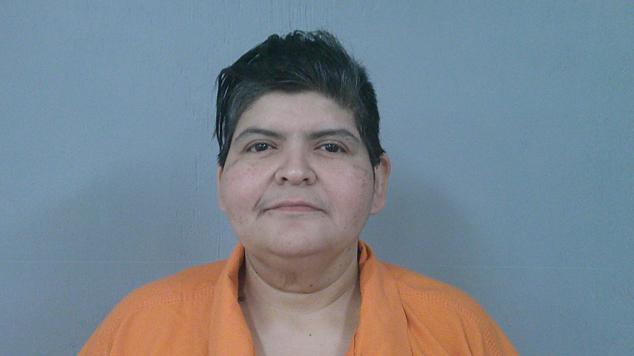 ROMAN, TERESA RODRIGUEZ booking photo