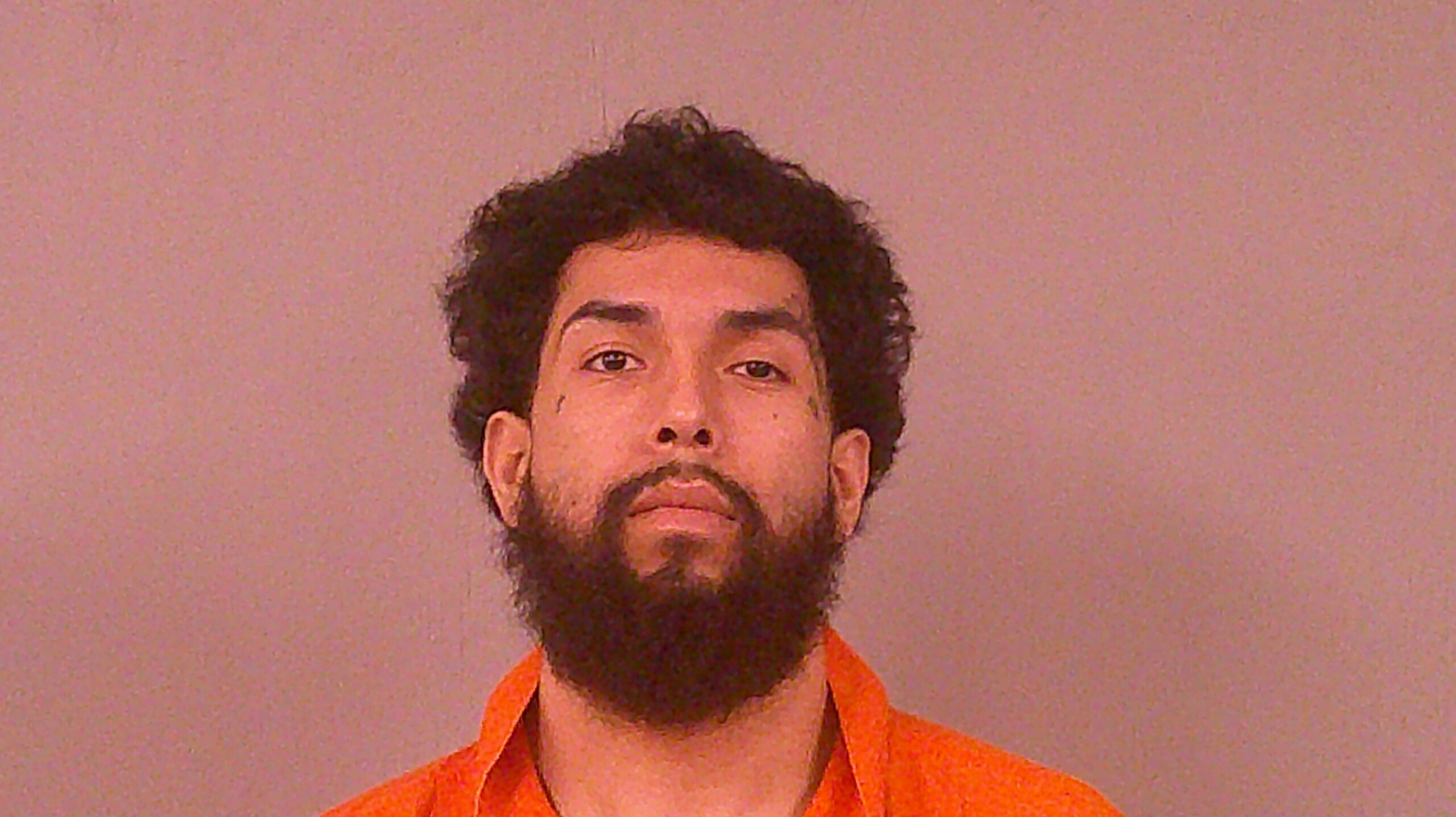 MANCILLAS, DOMINIC booking photo