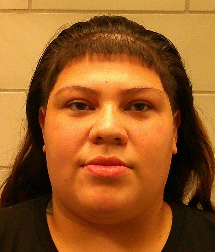 OCHOA, JOHANA booking photo