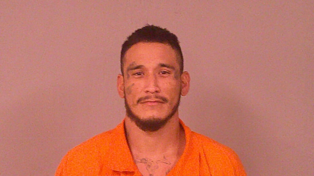 VIDALES, ROY RAUL booking photo