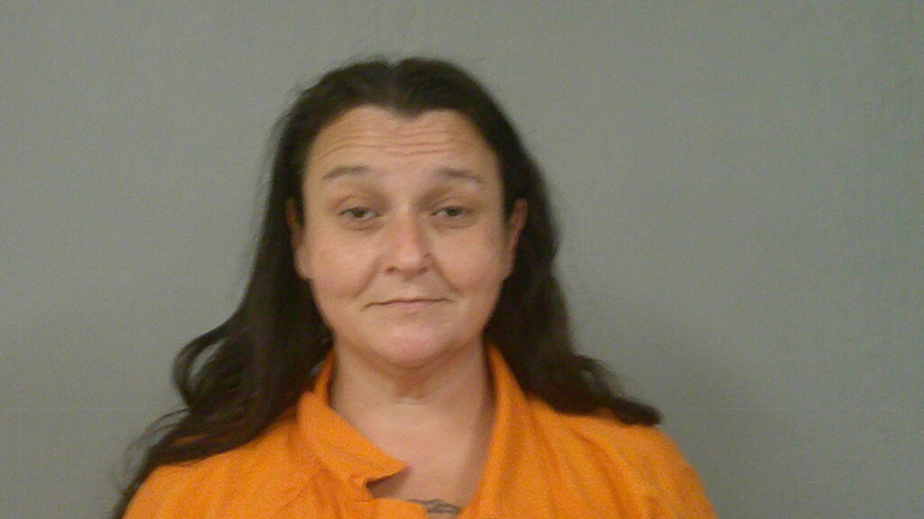 HIGGINS, BRANDI LEIGH booking photo
