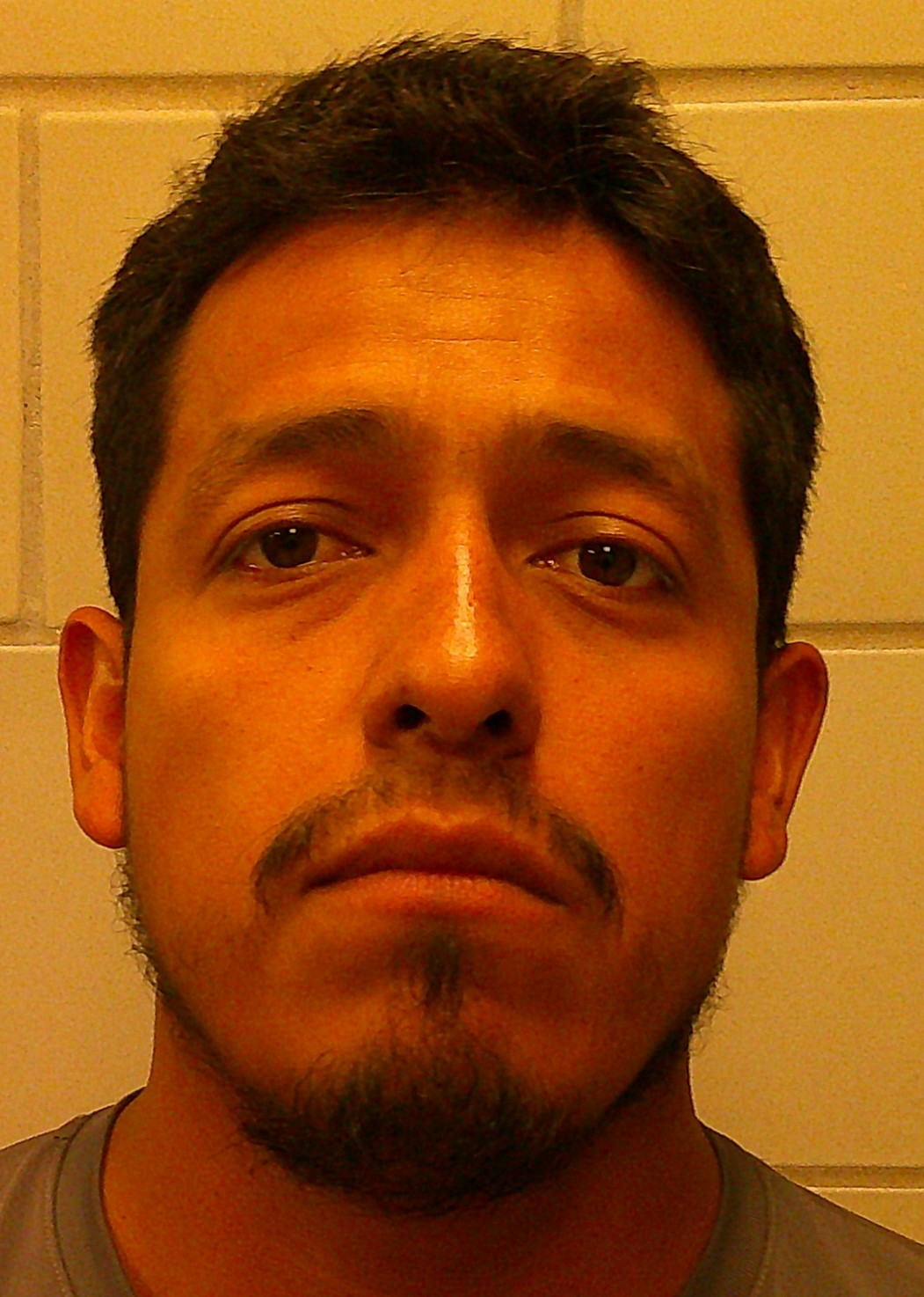 MENDEZ-LEDEZMA, ARIO ALBERTO booking photo