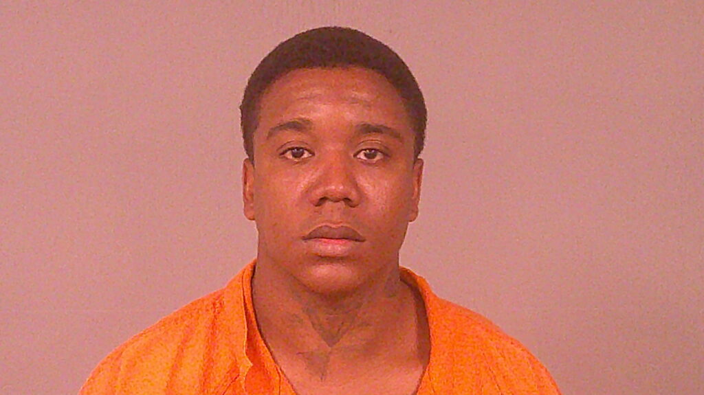 NELSON, LOY STEPHAN, Jr booking photo