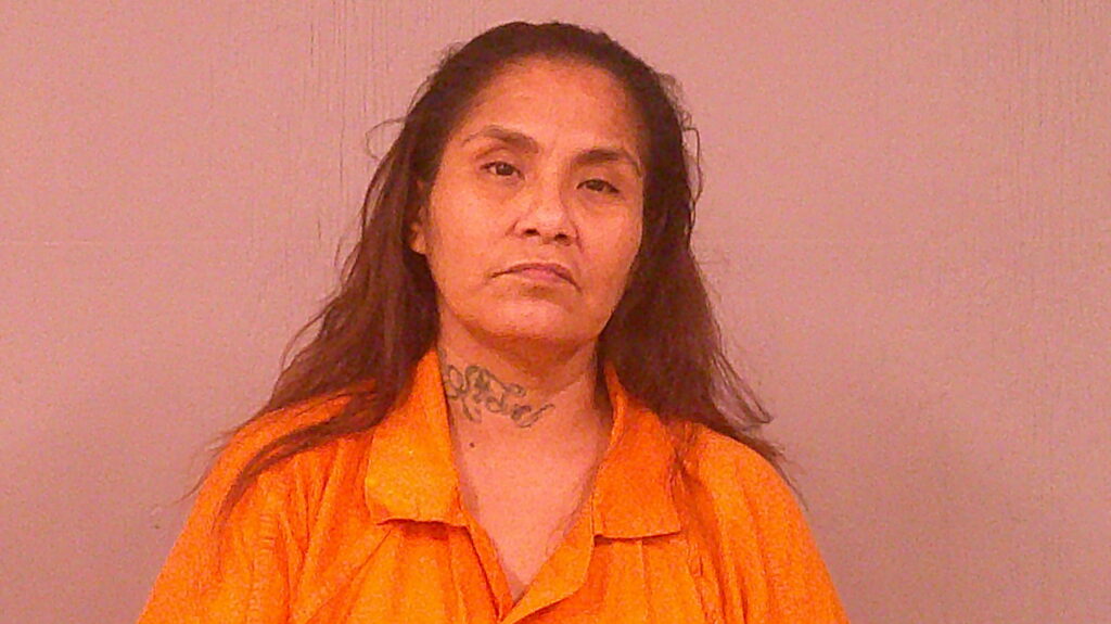 GALVAN, FARRAH J booking photo