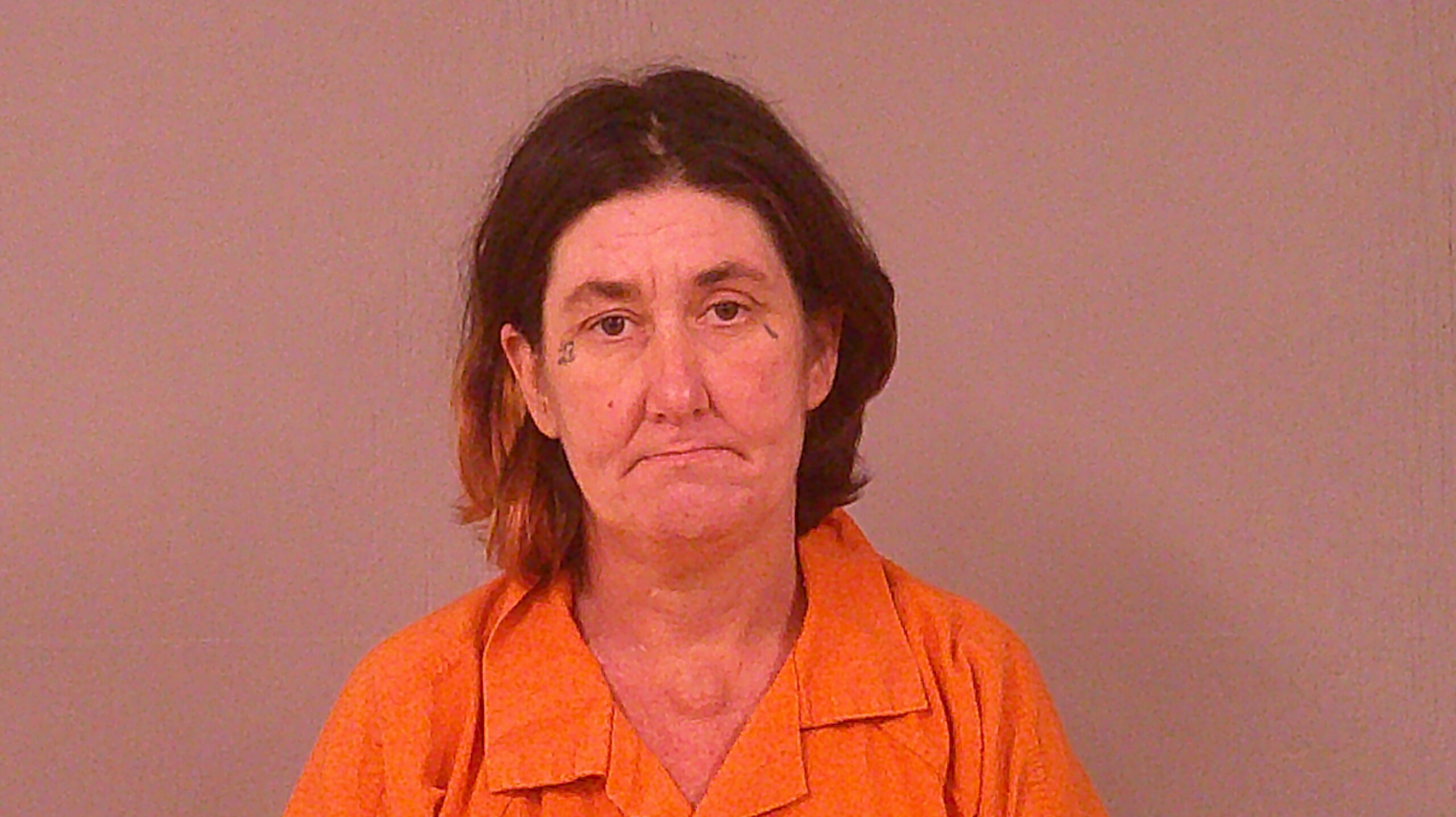 HINSON, BRIDGET G booking photo