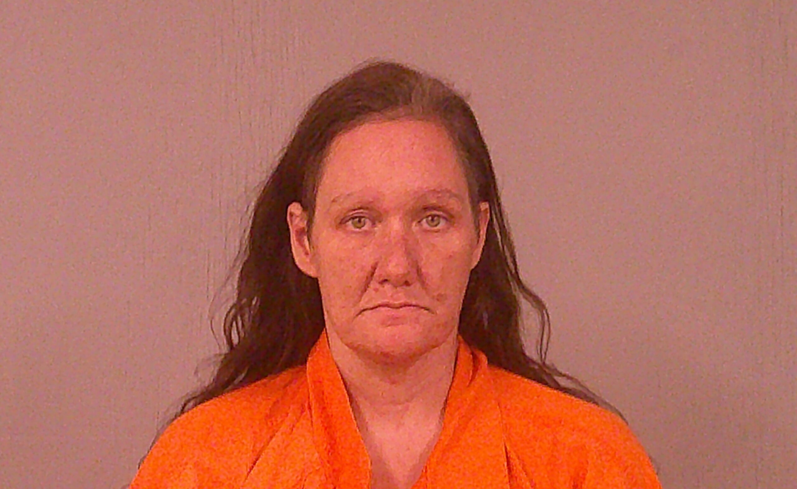 FICKLEN, TARA BROOKE booking photo