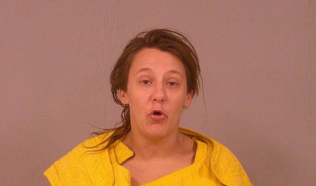 NORTH, JANNA RENEE booking photo