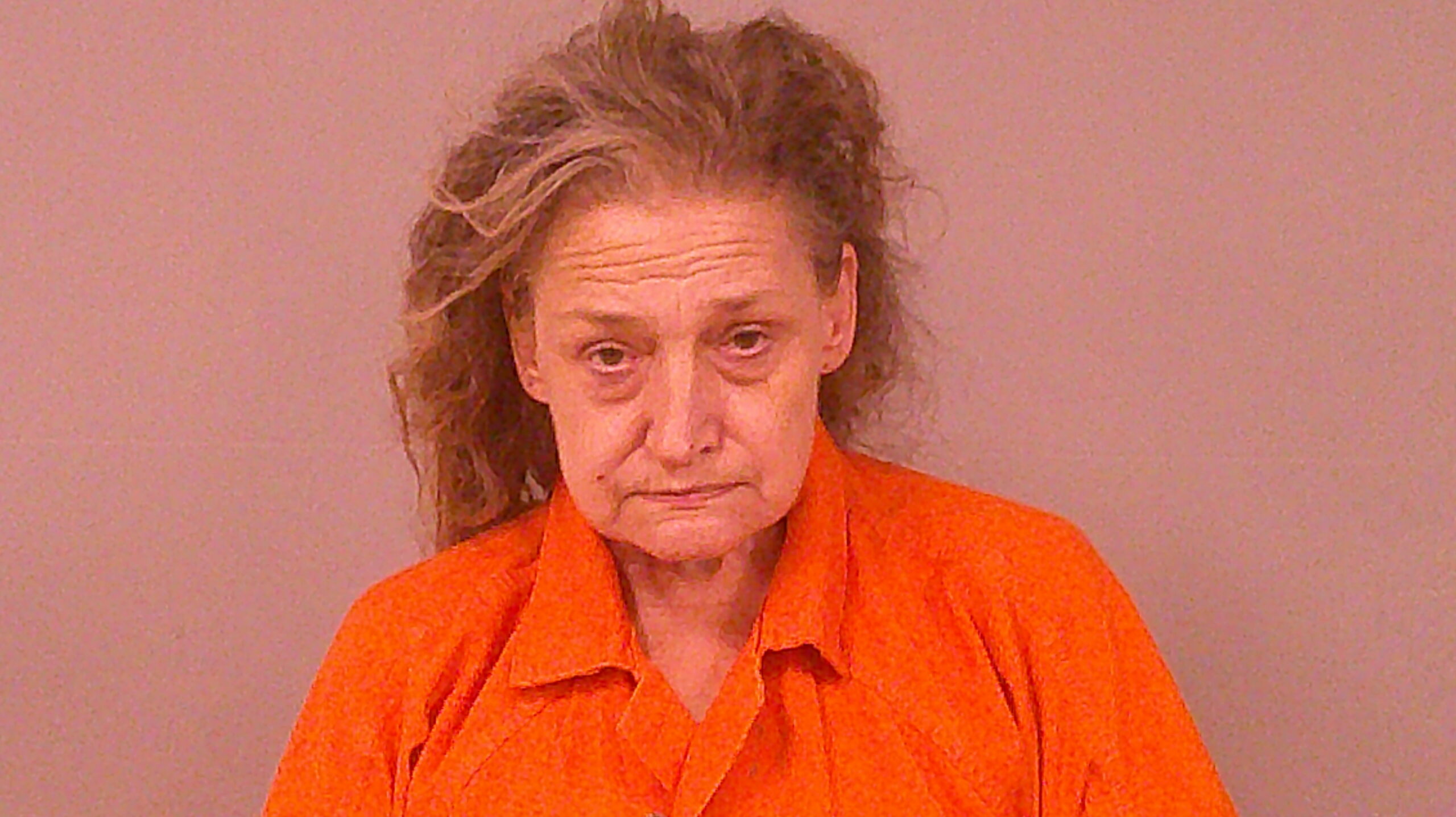 SMITH, DEBRA ANN booking photo