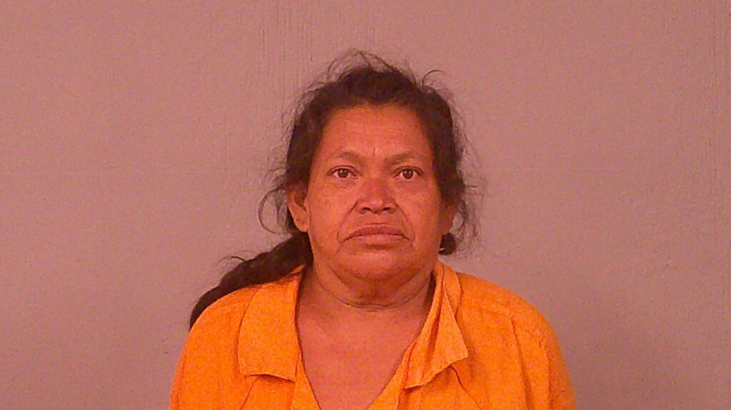 GUILLEN-SARMIENTO, ALEJANDRA booking photo