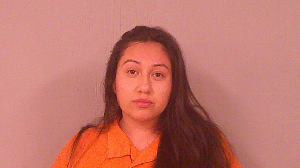 BALDELAMAR, ALEXIS BRIANA booking photo