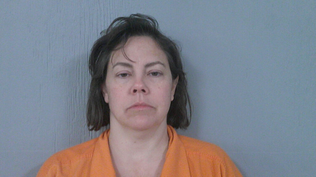 FALLIN, DEANNA SUE booking photo