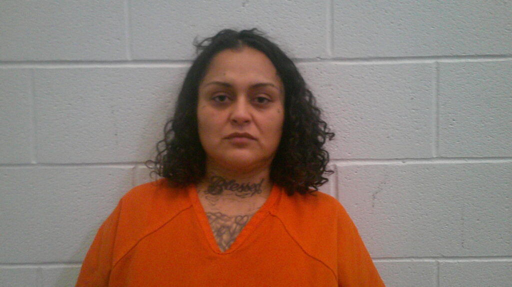 ORTEGA, TANYA SELINA booking photo