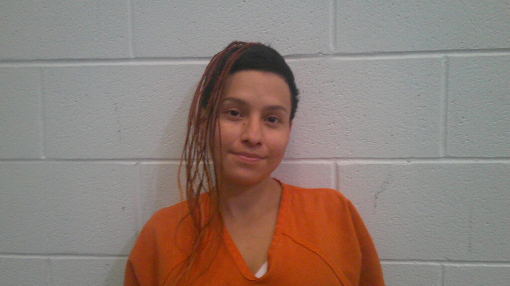 HARRISON, TRICIA MARIE booking photo