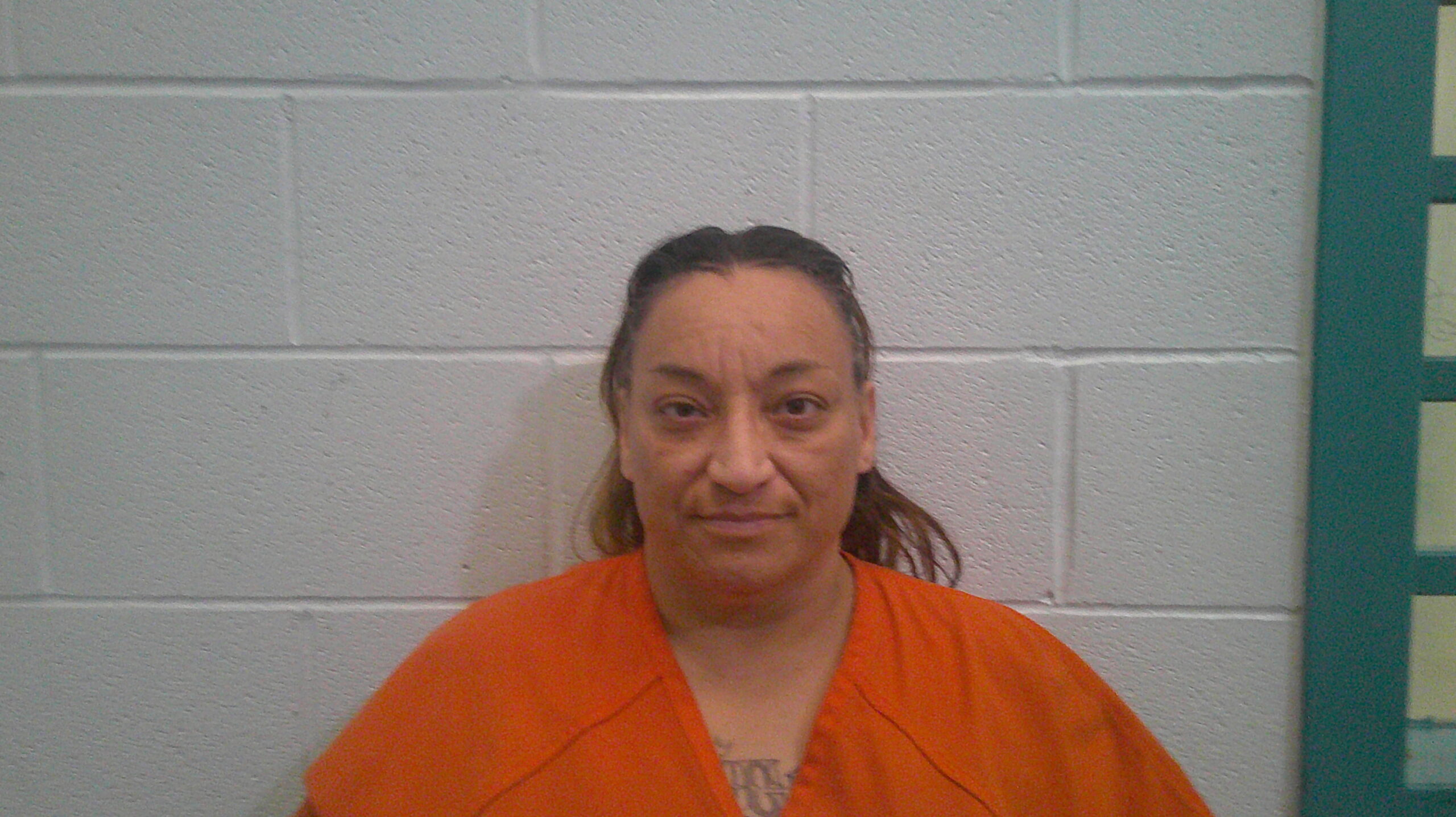 GARCIA, VERONICA booking photo
